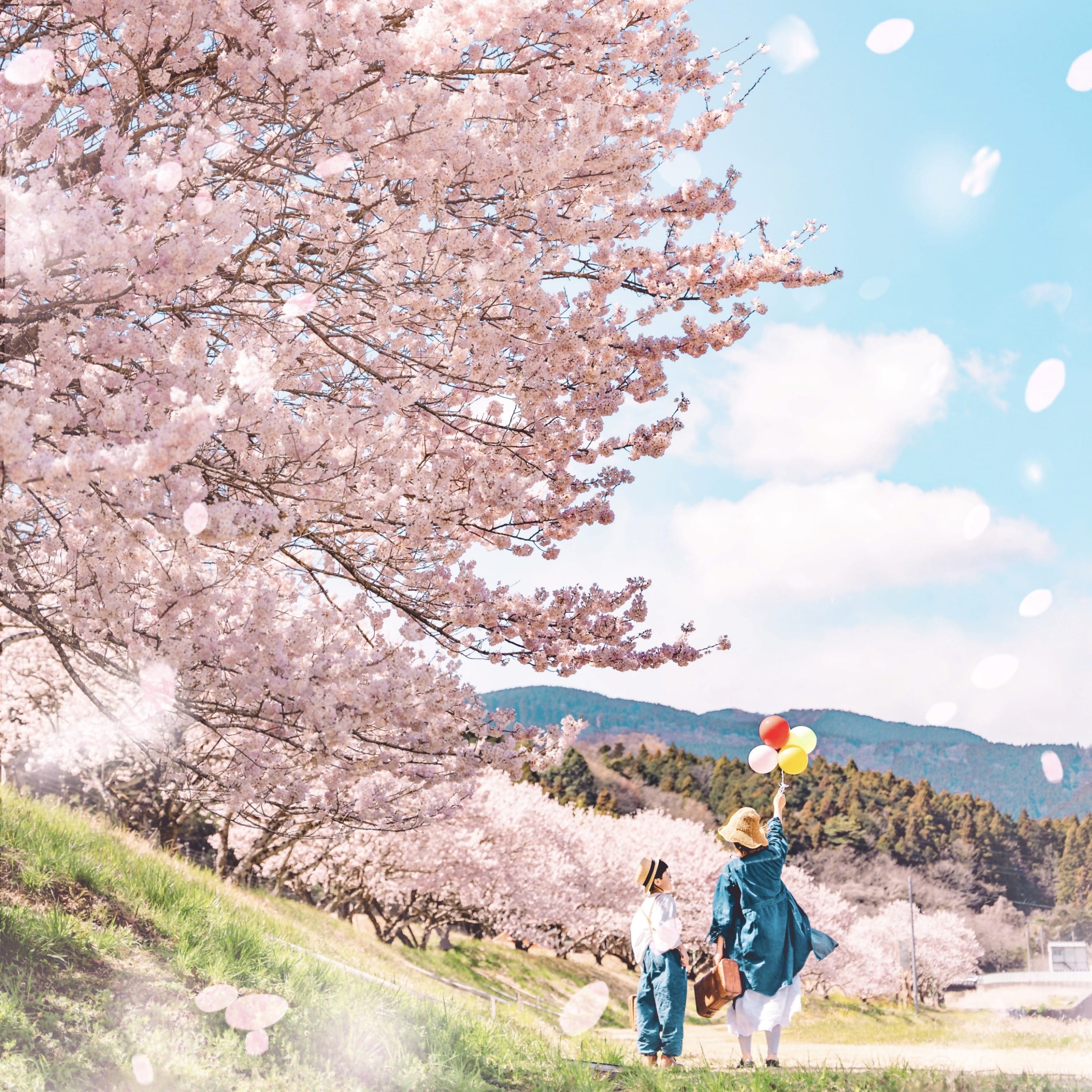 神奈川県 南足柄市