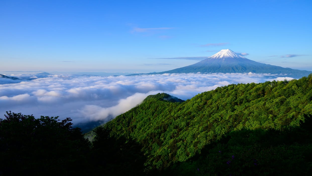 山梨県 西桂町