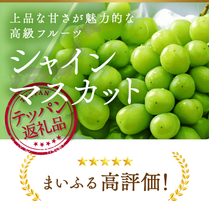 上品な甘さが魅力的な高級フルーツ シャインマスカット まいふる高評価！